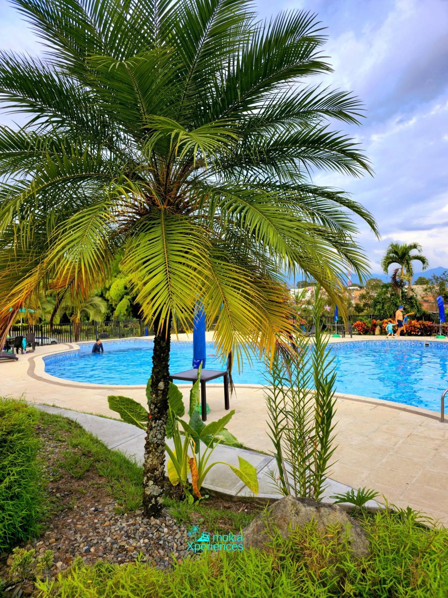 Apartamento Privado Vacacional A 5M Del Aeropuerto, 20 Minutos Del Parque Del Cafe Y Centro De Armenia Con 4 Piscinas, 3 Jacuzzi, Sauna By Molca Xperiences 2H Buitenkant foto